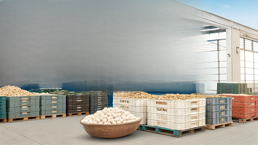 affordable-bulk-makhana-for-resellers