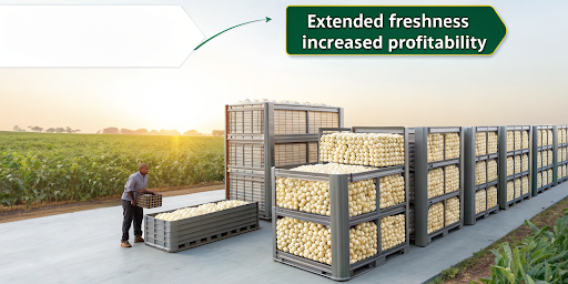 Cold Storage Support for Makhana Traders