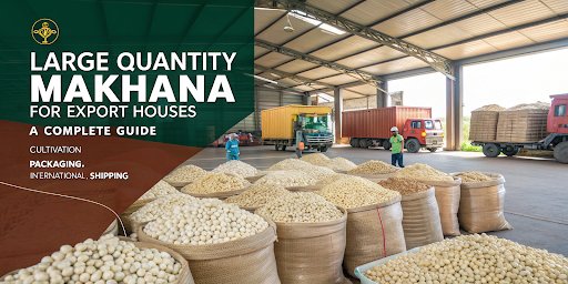 Large Quantity Makhana for Export Houses